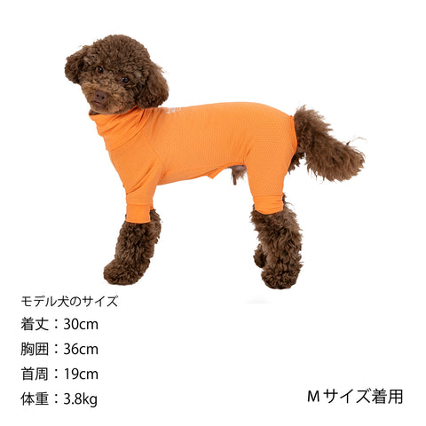 Mandarine Brothers | Insect Shield Skin Tight Suit