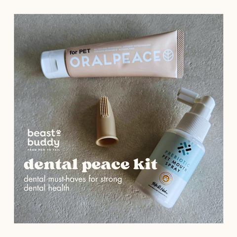 Dental Peace Kit