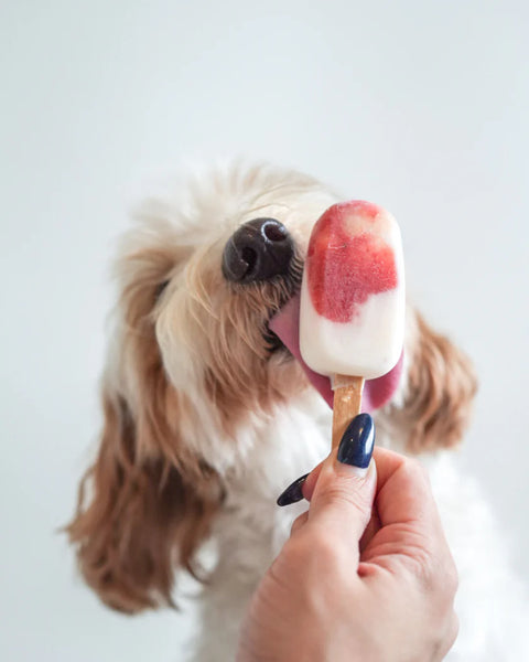 LICKED. | Cool for the Summer Pawpsicle (Mini)
