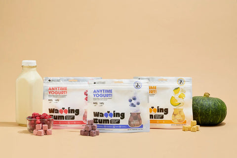 WaggingBum | Blueberry Freeze-Dried Yogurt