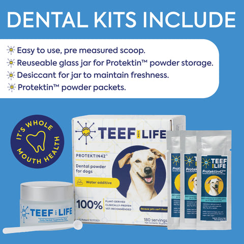 TEEF | Protektin42™ + Kidney Care Dental Kit (For all pets)