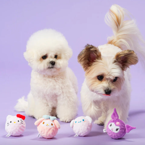 BACON | Sanrio Catch Toy