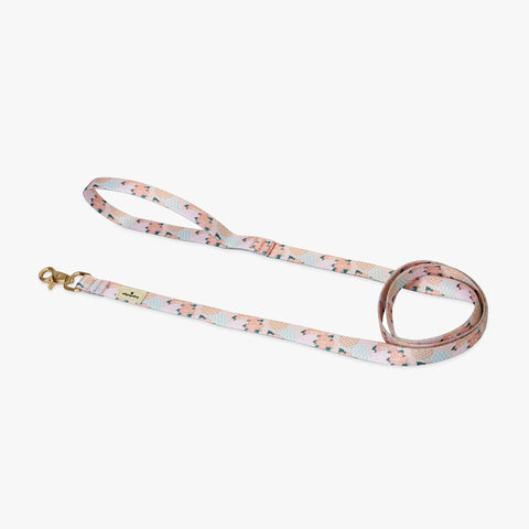 Ohpopdog | Botan Nylon Leash