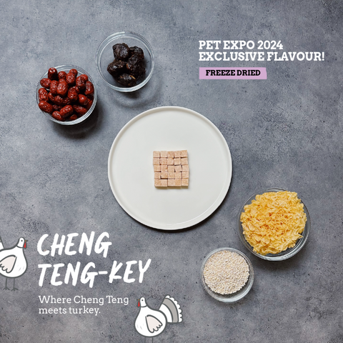 Cheng Teng-key