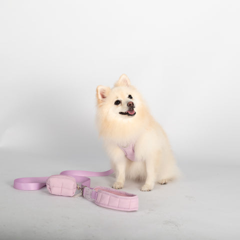 PUFFUR | Standard Leash