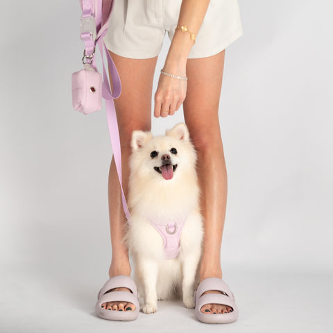 PUFFUR | Harness