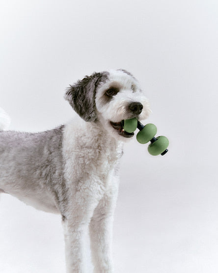 ROIKA | Dango Olive Green