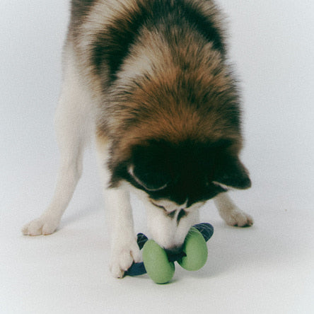 ROIKA | Dango Ring Olive Green