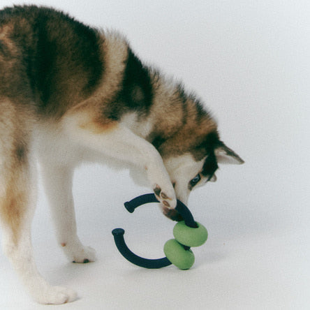 ROIKA | Dango Ring Olive Green