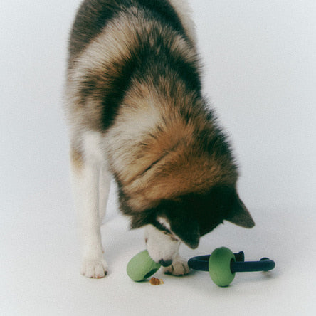 ROIKA | Dango Ring Olive Green