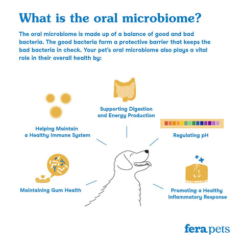 Fera Pet | Dental Support for Cats & Dogs