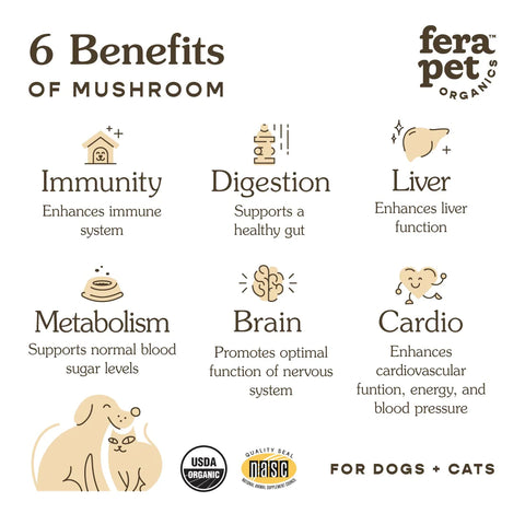 Fera Pet | Mushroom Immune Support