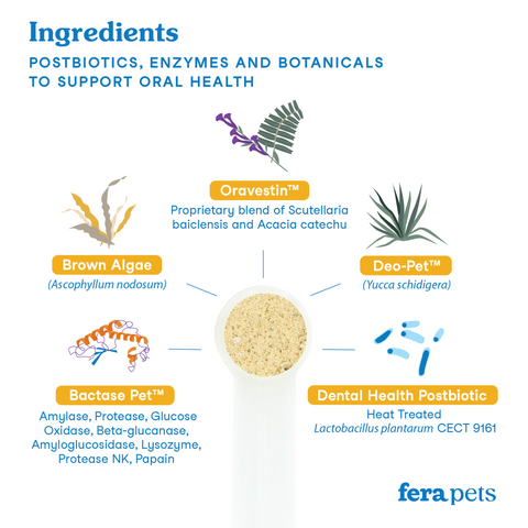 Fera Pet | Dental Support for Cats & Dogs