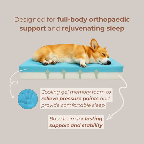 KOMU | ELYSIAN Orthopaedic Dog Bed