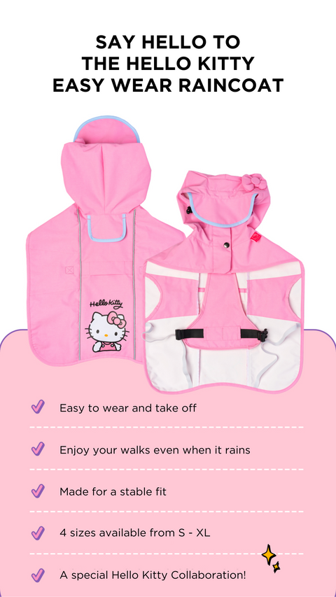 BACON | Sanrio Hello Kitty Raincoat