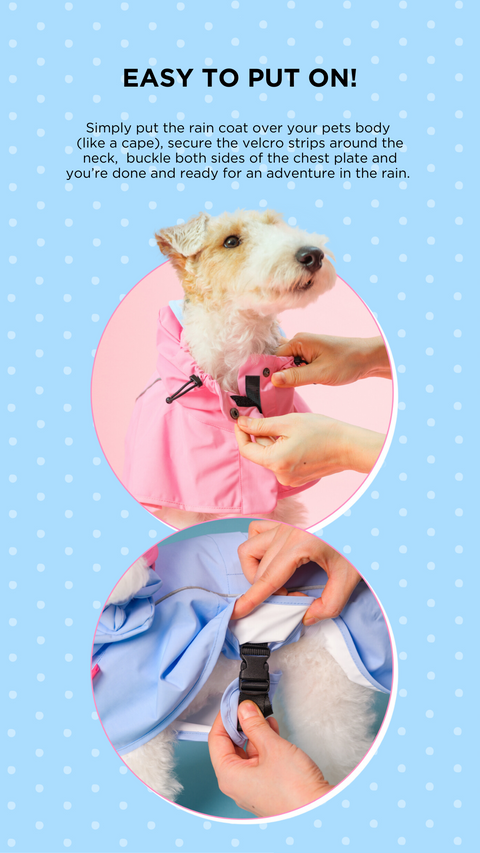 BACON | Sanrio Hello Kitty Raincoat