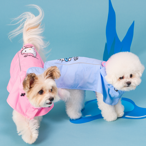 BACON | Sanrio Hello Kitty Raincoat