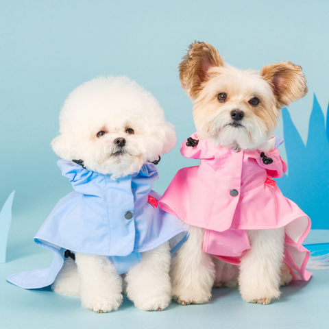 BACON | Sanrio Hello Kitty Raincoat