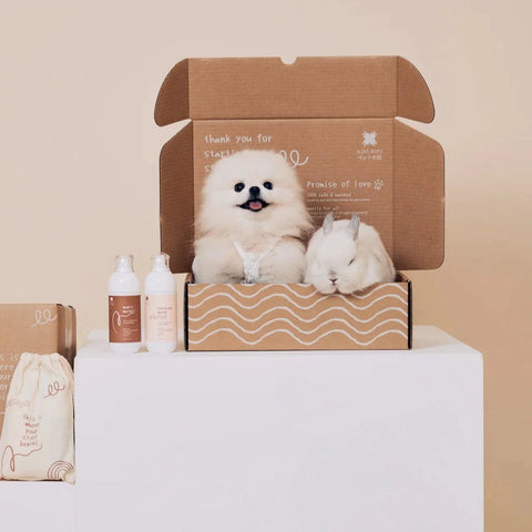 A Pet Story | soothing water