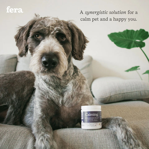 Fera Pet | Calming Support