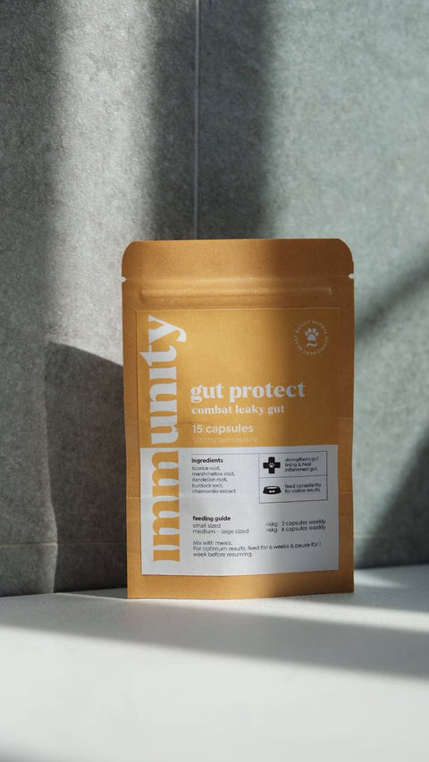 BB Herbal | Gut Protect