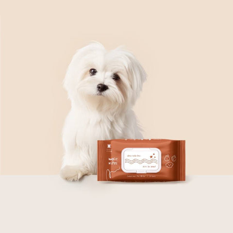 A Pet Story | magic wipes