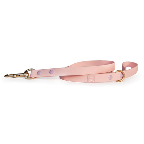 AYLABELLA CO. | Plush Leash