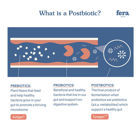 Fera Pet | Postbiotics Plus
