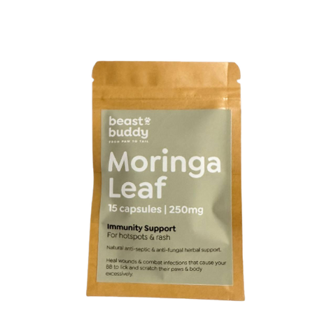 BB Herbal | Moringa Leaf