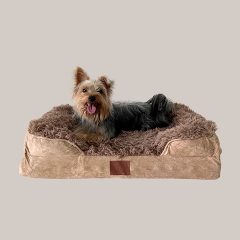 KOMU | ELYSIAN Orthopaedic Dog Bed
