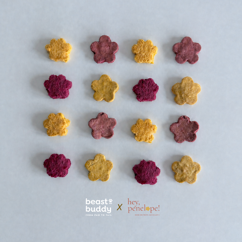 Fleur Patte | October Special