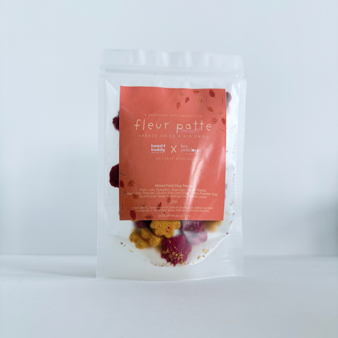 Fleur Patte | October Special