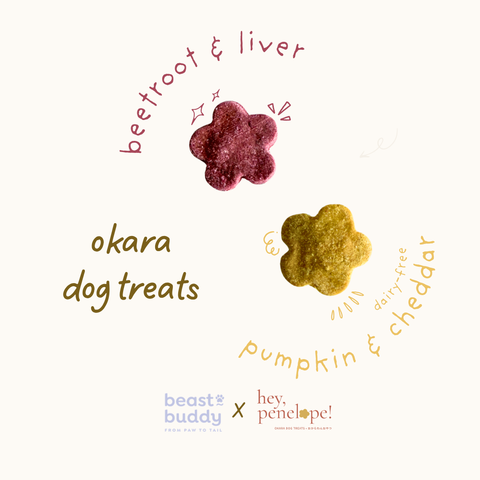 Fleur Patte | October Special