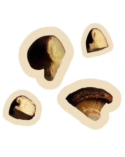 bbites | Shiitake Mushroom (Freeze-dried)