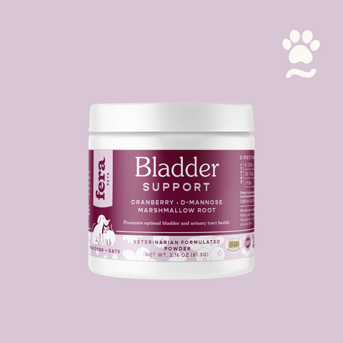 Bladder Support