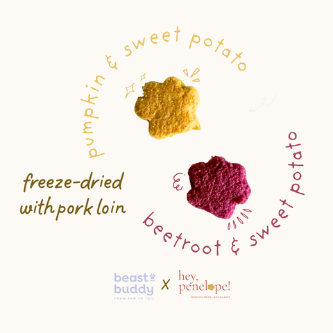 Fleur Patte | October Special