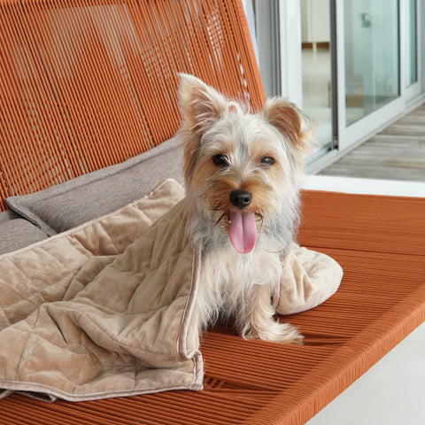 KOMU | AUREA Weighted Dog Blanket