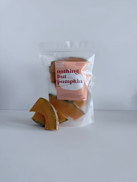 bbites | Pumpkin (Freeze-dried)