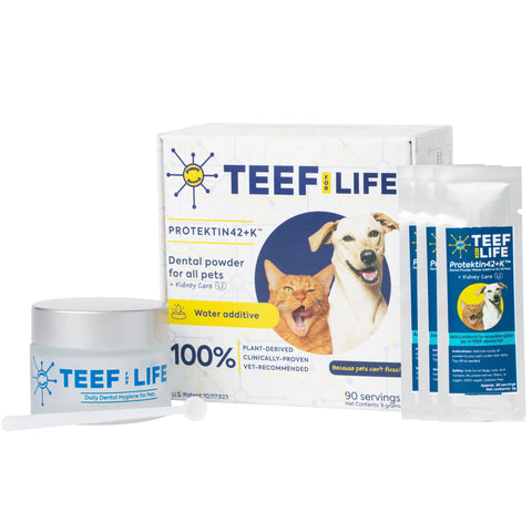TEEF | Protektin42™ + Kidney Care Dental Kit (For all pets)