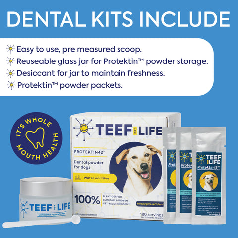 TEEF | Protektin42™ Dental Kit (For dogs)