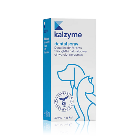 Kalzyme | Dental Spray