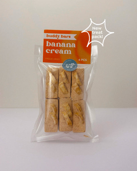 buddy bars | Banana cream (Freeze-dried)