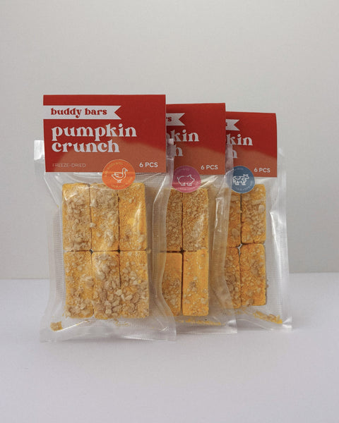 buddy bars | Pumpkin Crunch (Freeze-dried)