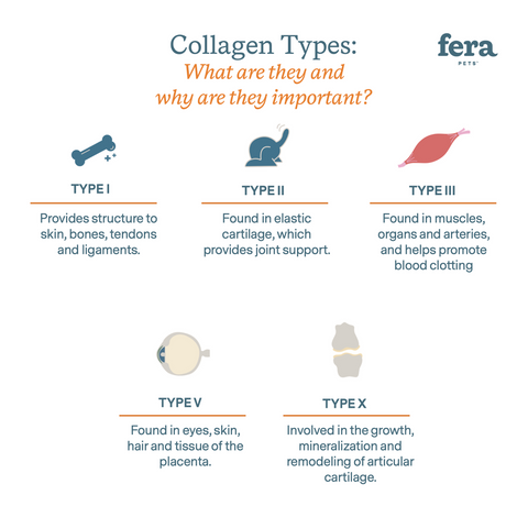 Fera Pet | Collagen Plus