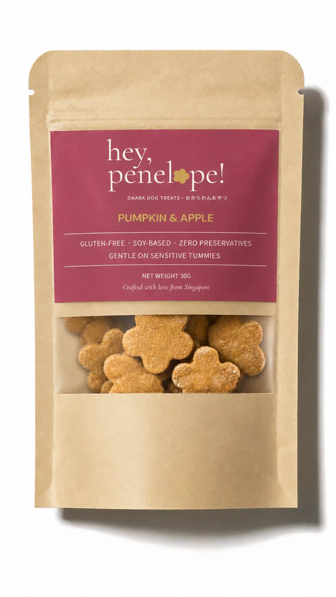hey, penelope | Pumpkin + Apple