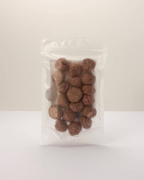 bbites | Mushroom Ball (Freeze-dried)