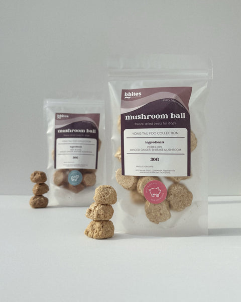 bbites | Mushroom Ball (Freeze-dried)