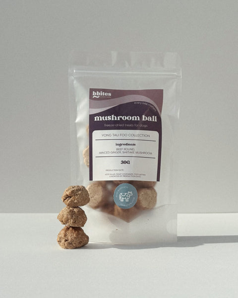 bbites | Mushroom Ball (Freeze-dried)