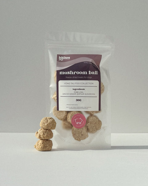 bbites | Mushroom Ball (Freeze-dried)