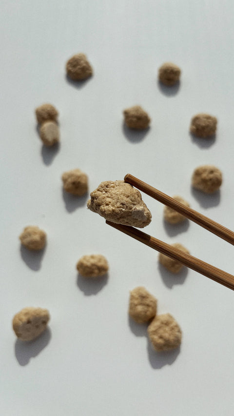 bbites | Mushroom Ball (Freeze-dried)